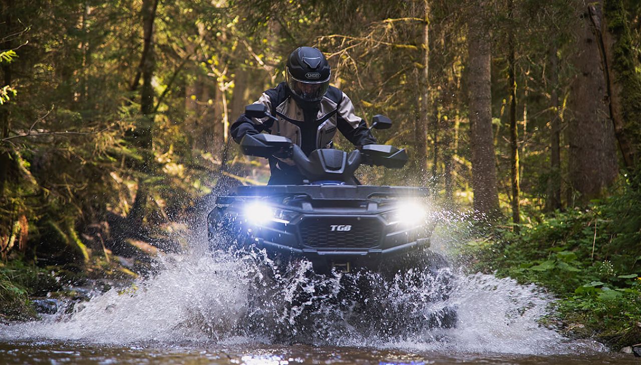 Blade 600 LTX EPS фото_6