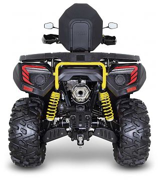 Blade 600 LTX EPS Premium фото_2